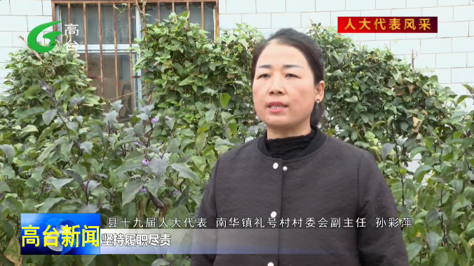 孙彩萍：巾帼绽芳华 履职显担当