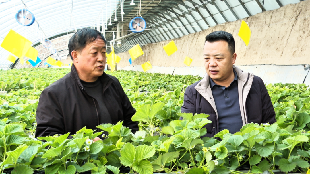 【人大代表风采】赵永亮:履职在一线 实干促振兴