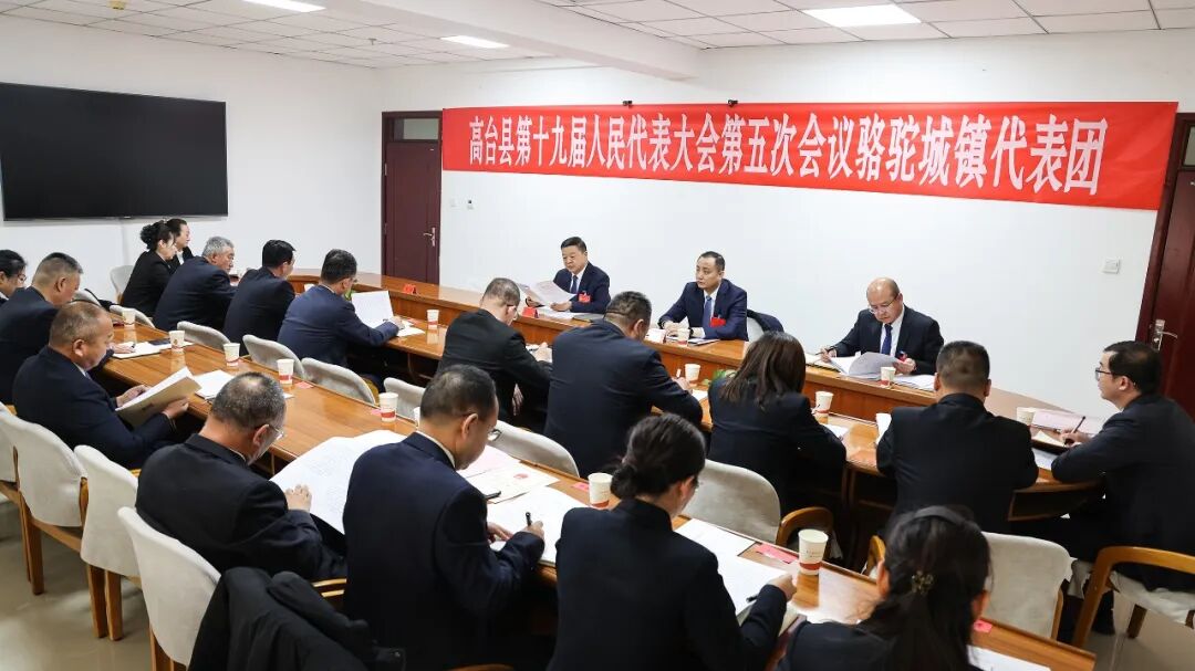 张龙参加骆驼城镇代表团审议