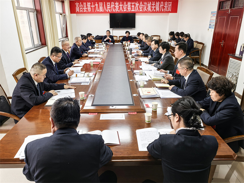 杨红光参加城关镇代表团审议